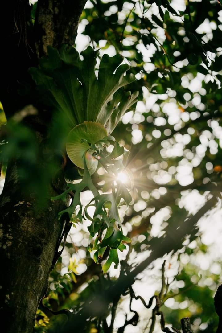 Harmony Garden - Home And Coffee 顺化 外观 照片