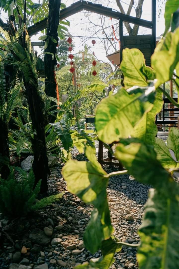 Harmony Garden - Home And Coffee 顺化 外观 照片