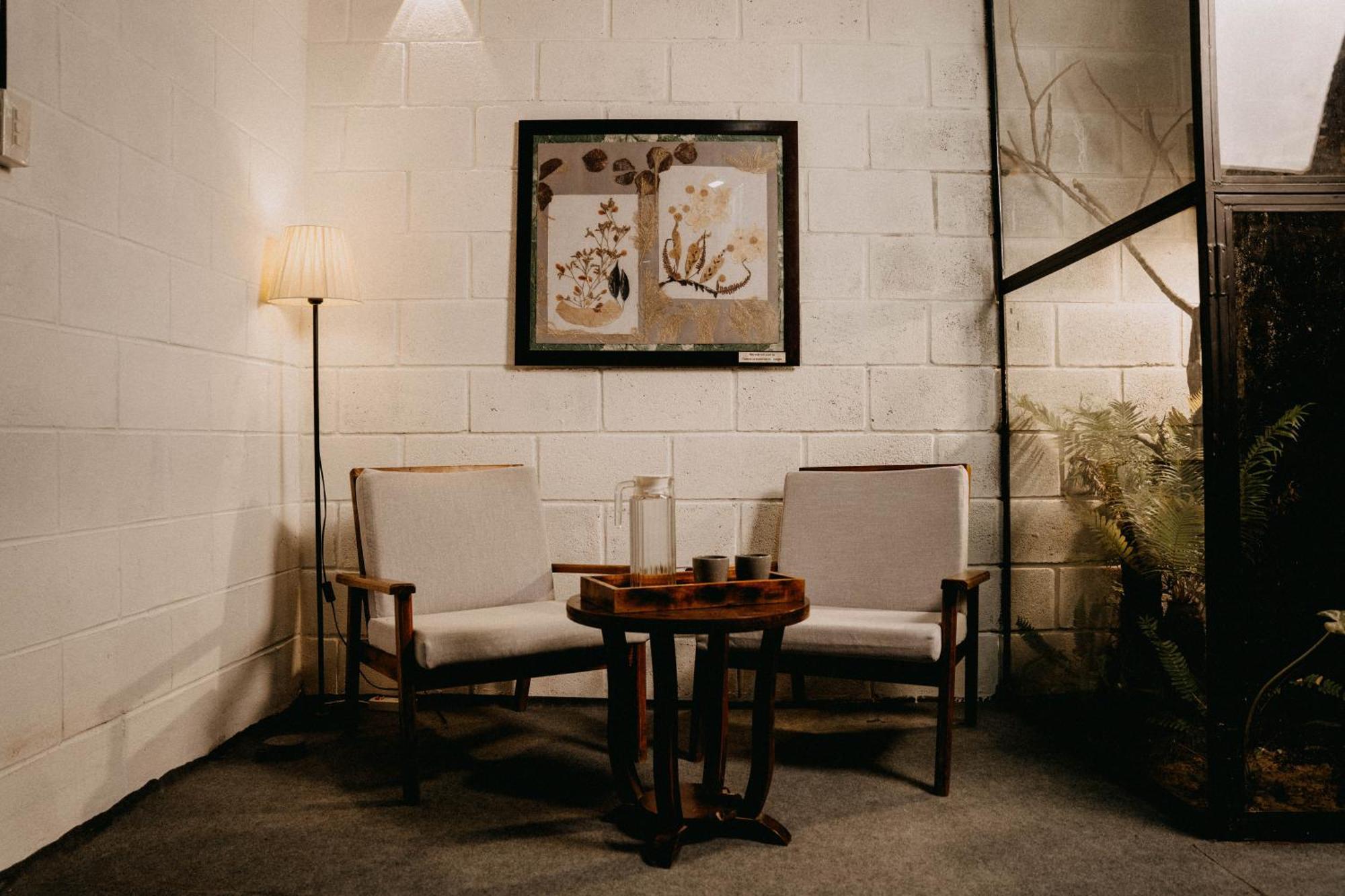 Harmony Garden - Home And Coffee 顺化 外观 照片
